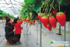 �ɶ���߅̤������ժ����Ұ������~��ȫ����