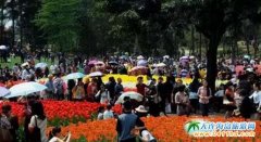 �ɶ��쌎�f���������{��·����