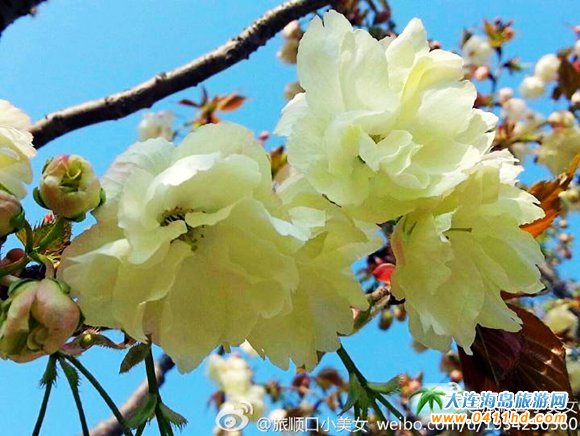 ��혙ѻ���(ji��)