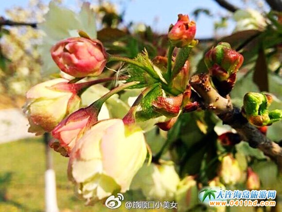 ��혙ѻ���(ji��)