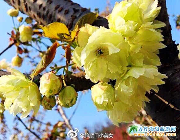 ��혙ѻ���(ji��)