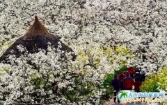 �Ĵ��VԪ�nϪ�滨��(ji��)3��18���_Ļ