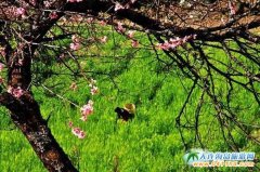 ŭ���{��3���һ��_�����g�ɾ��׻�ζ