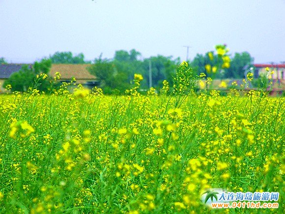 2016���B�Ͳ˻���(ji��)