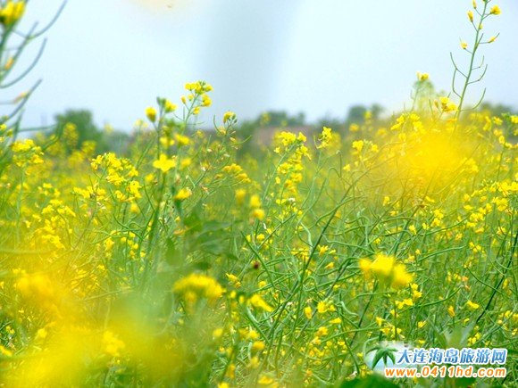 2016���B�Ͳ˻���(ji��)