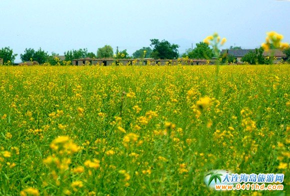 2016���B�Ͳ˻���(ji��)