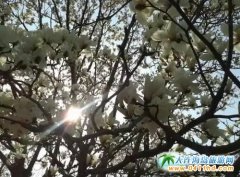 ������B�����p������