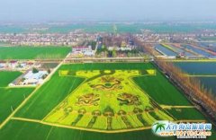 ���Kʡ�Ͼ������Ͽh�Ͳ˻�ʢ�_�����ۈD��������