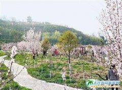 ���P�һ��Ļ����ι�(ji��)�������P(gu��n)�(zh��n)�һ��Ⱦ��^(q��)�e��