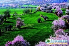 �������_(d��)�h���һ���M���Ļ�Ԫ��