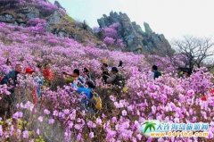 ���쵽���B��ɽ�p�������o��