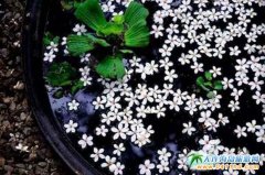 �_���p�����ι��ԣ��؄e����ͩ��