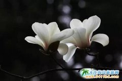 �����B�Ĵ�W(xu��)�p�� ���[���q�µĽ�(j��ng)��