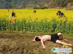 2016�갲���݌�����l(xi��ng)�����ι�(ji��)�_Ļ