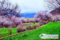 ������Ŷ���������֥�һ���֮��