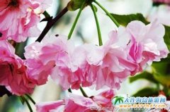 ���B�ѻ��`�� �p��ѻ�ʢ�_ʢ�r�e�e�^