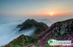 ����׌�҂���s�ڴ��ɽ�