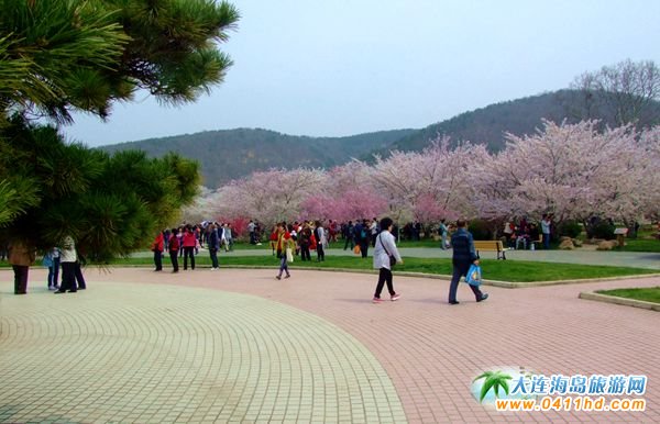 ����������ѻ�