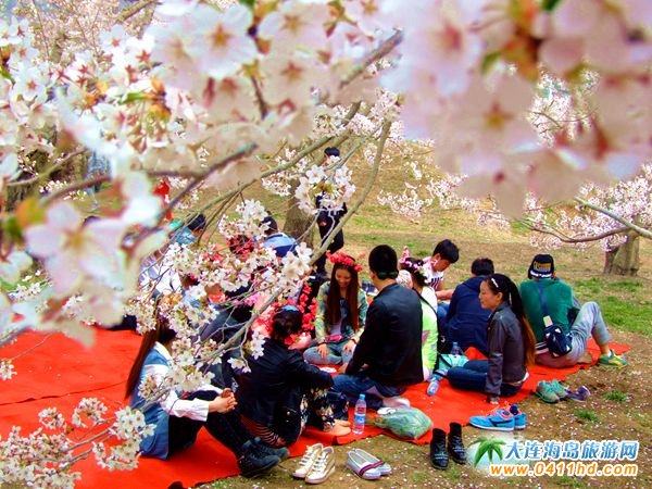 ����������ѻ�