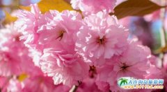 2016���203�ߵؙѻ��@+���B�Ѓ�(n��i)һ����40Ԫ