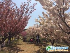 �M�@��ɫ�P(gu��n)��ס ��혶������ѻ��@