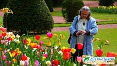 �����r(sh��)�������������ݼӵǳǱ��ć�(gu��)�H��չ��6̖(h��o)�_Ļ