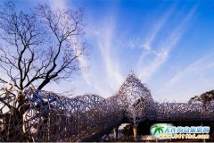 �_�����x����ҹ�g���c���m̶��Ӱ������ƻ�