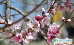 ������˹���ڶ����һ���(ji��)�Ļ����H���ι�(ji��)����16���_Ļ