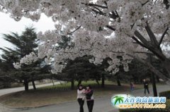 ���B�Ĵ�������@ô��