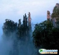 �����ď��ҽ�����������