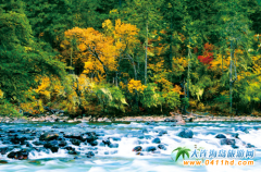 ��һ������ص�����  �����ϵ����(l��i)