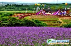 ����һ�����B����һ����