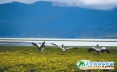 ���؇��ҝ�ع��@�_(d��)������̎