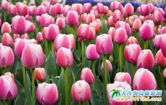 ���_��ɫ�ż{���^(q��)���������a(ch��n)�I(y��)�@����