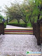 ���L(f��ng)����� ��혶������ѻ��@������