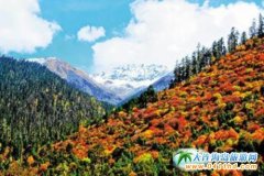 ��֥���ήa(ch��n)�I(y��)�~�����_�A