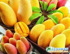 ���ϡ�â���h������������¡���ӆ���