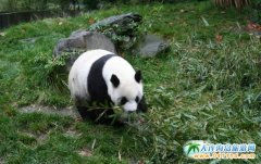 ���Ĵ����������£����_�����_�Ļ