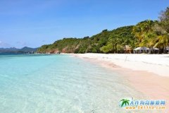 �����������C���� �������e���΍u�Ѓ�(y��u)��