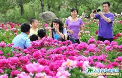 �����ˎ�^�p����������Ʊ����Ҏ(gu��)�����Q�A���؅^(q��)֮��