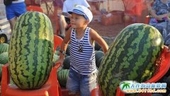 ����28�����Ϲ�(ji��)���ڱ������d�����f����С�(zh��n)�_(k��i)Ļ