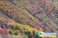 ���������ֺ� һ�����˲���ҵĵط�