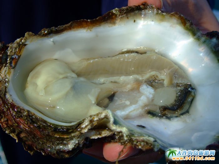  2016��Ӎu���~����ឈD�� 