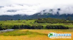 ��֥�����ǱȌ��� ����͸���������Ұ����Ó