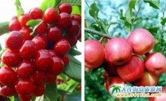 ������혴���ҹ�(ji��)���_�Ļ