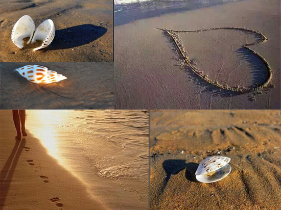  ����ؔ(c��i)��u��߅,��ʰӛ���е����� 