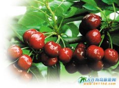 ���B���H����ҹ�(ji��)�����_Ļ