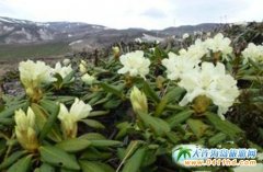 ���F���L��ɽ�ϸ�ɽ���N׌��Є�(d��ng)����