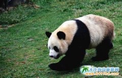 �����Bɭ�ք�(d��ng)��@��һ�� �e���L(f��ng)Ȥ