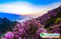 �|��|��һ��֮�پ�Ҳ�������B���ɽ